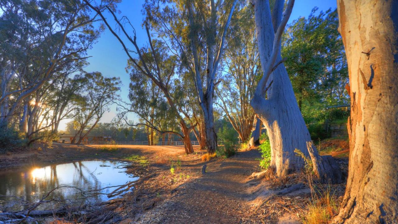 Moama Riverside Holiday Park Exterior foto